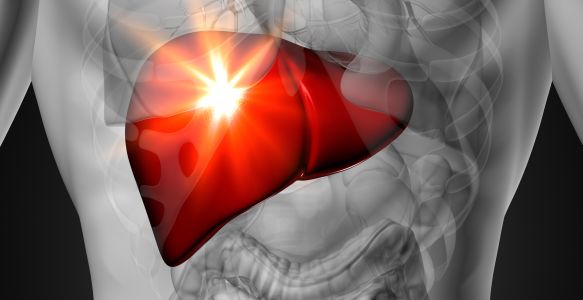 Liver Function and Health
