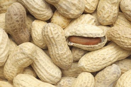 Peanuts are the third most common food allergy