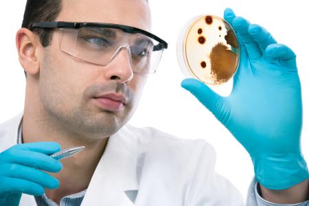Testing for mycotoxins to diagnose mold illness