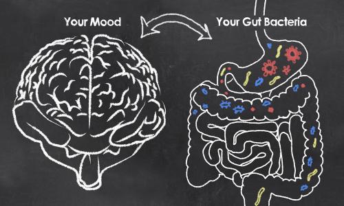 There's a two-way connection between gut flora and mental health