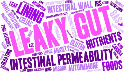 Leaky Gut Syndrome